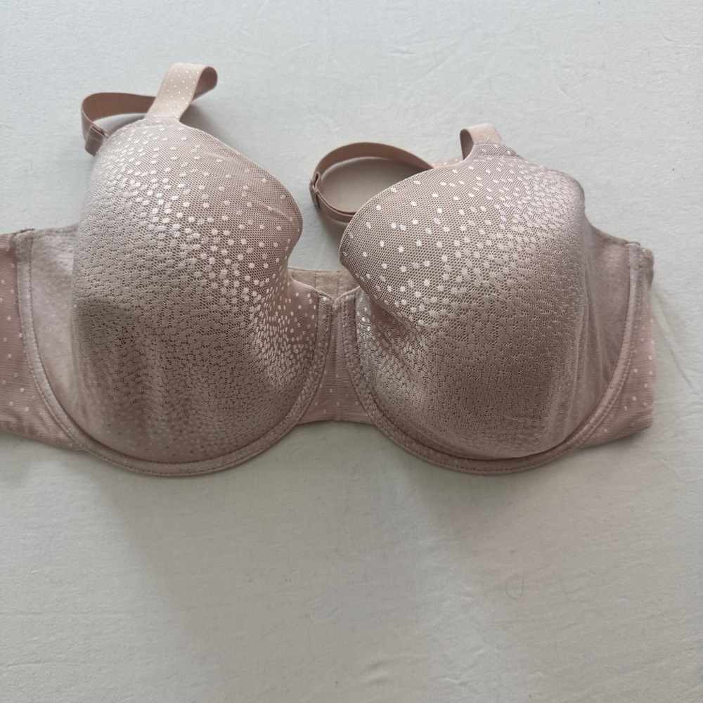 Wacoal Tan and White Women's Bra 40DDD